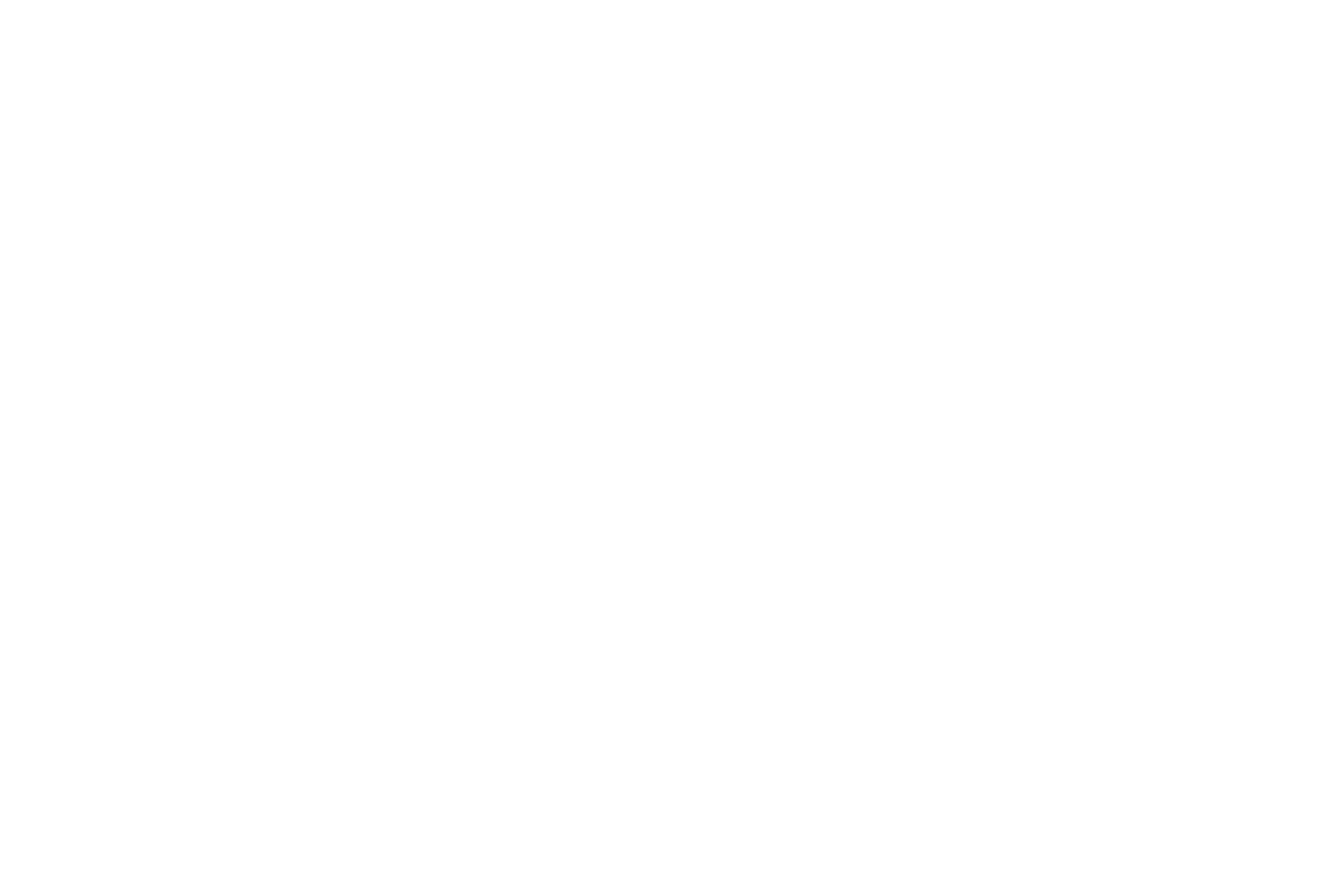 Almost Stone Logo